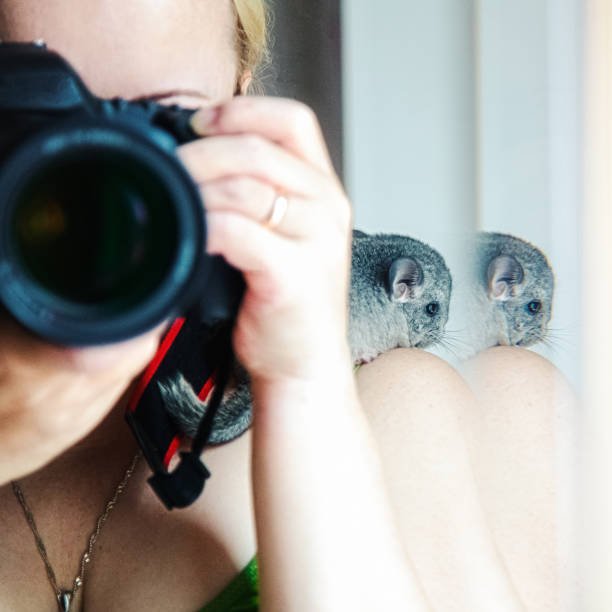 Unlocking Creative Potential: A Deep Dive into photoaxompa